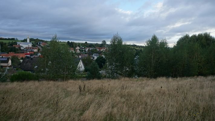 Fernblick