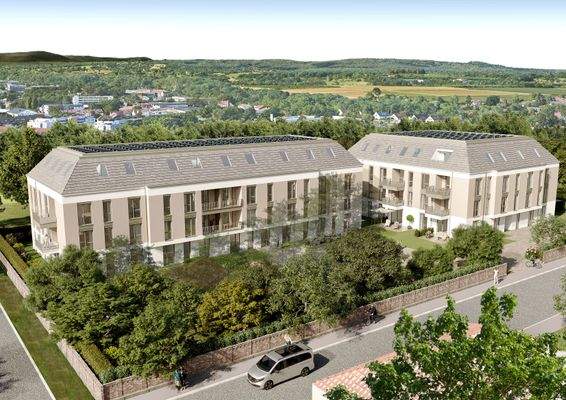 WeiseP3Final43111450