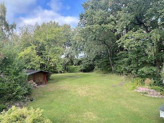 Grundstück mit viel Baumbestand.