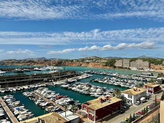 WhatsApp Image 2024-11-29 at 15.43.28 (3)