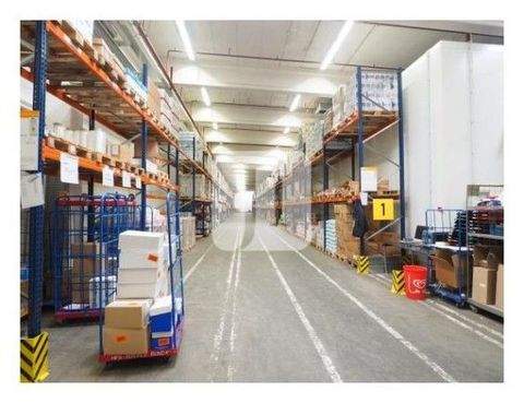 Hamburg Halle, Hamburg Hallenfläche