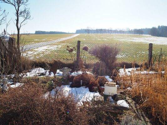 Im winterlichen Gemüsegarten