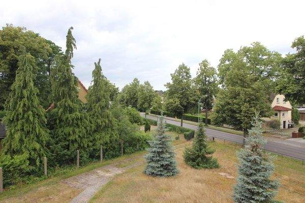 Vorderes Grundstück.jpg