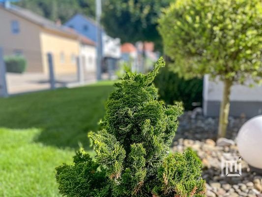 Garten-Strasse.jpg