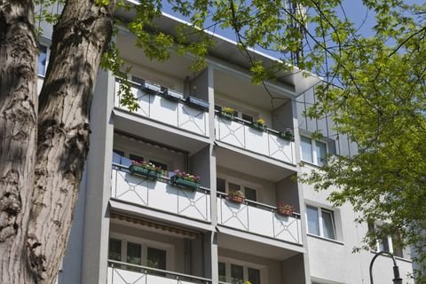 Dessau-Roßlau Wohnungen, Dessau-Roßlau Wohnung mieten