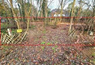 Sicht von der Niebelungenstraße