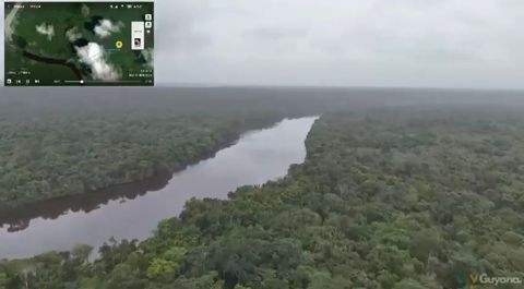 Demerara-Mahaica Bauernhöfe, Landwirtschaft, Demerara-Mahaica Forstwirtschaft
