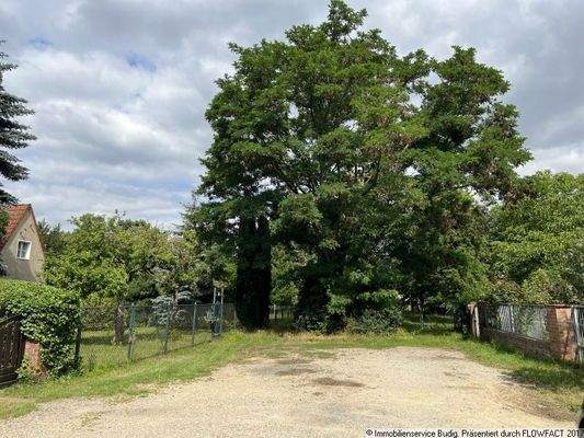 ruhige Anliegerstraße