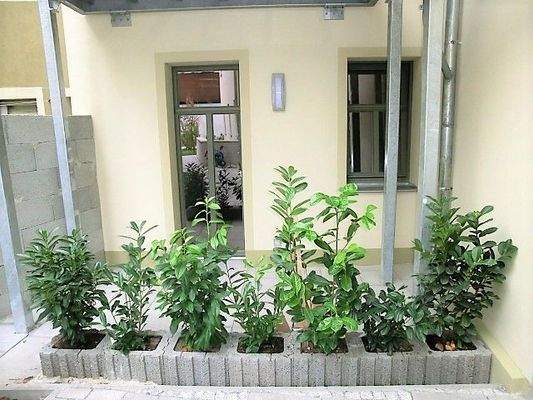 Terrasse zur Wohnung