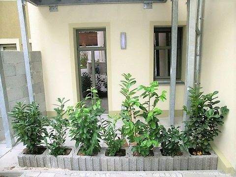 Bischofswerda Wohnungen, Bischofswerda Wohnung mieten