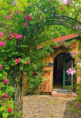 Jahreszeiten Impressionen