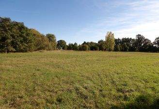 Blick auf das Grundstück.jpg