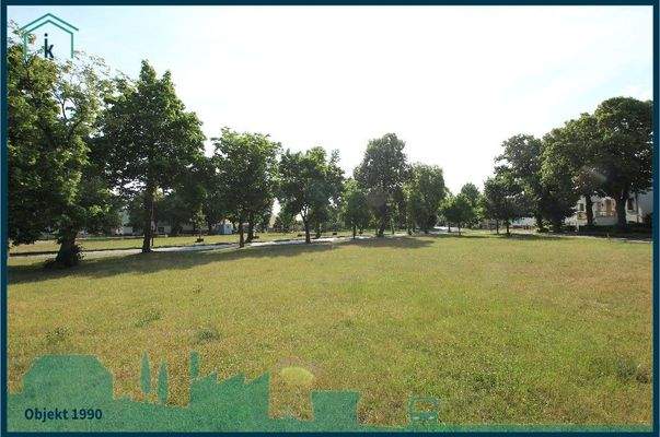 1990 Blick über die Dorfaue.jpg