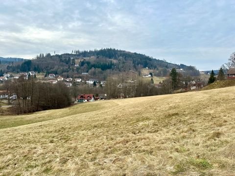 Warmensteinach Grundstücke, Warmensteinach Grundstück kaufen