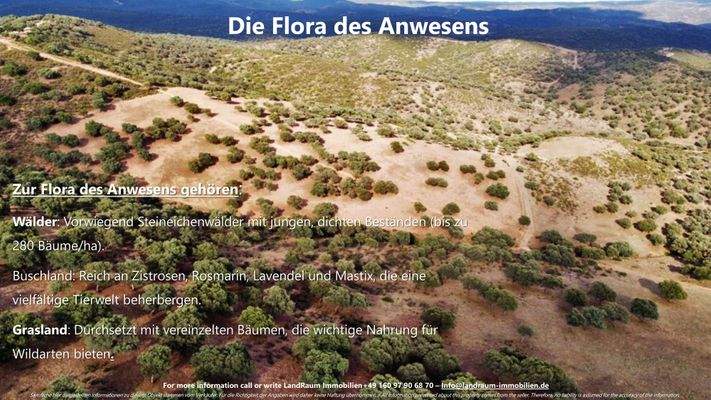 La Nueva Merced - Expose LRI - Deutsch-20.jpg