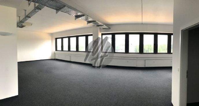 INFOS UNTER: 06171-586000