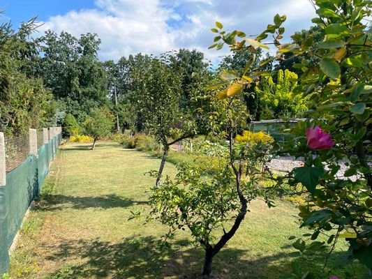 Garten.JPG