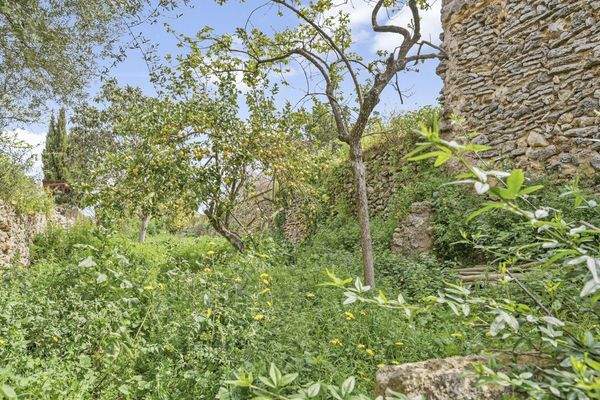 Suelo-edificable-Sencelles