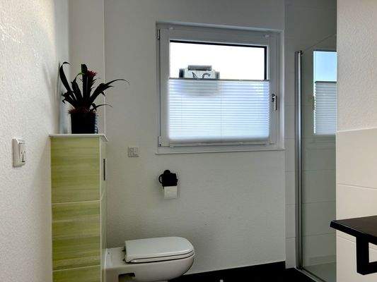 Gäste-WC mit Dusche_1