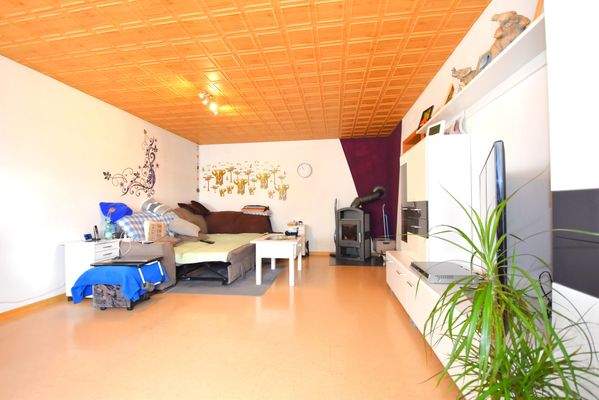 EG Wohnzimmer mit Schwedenofen