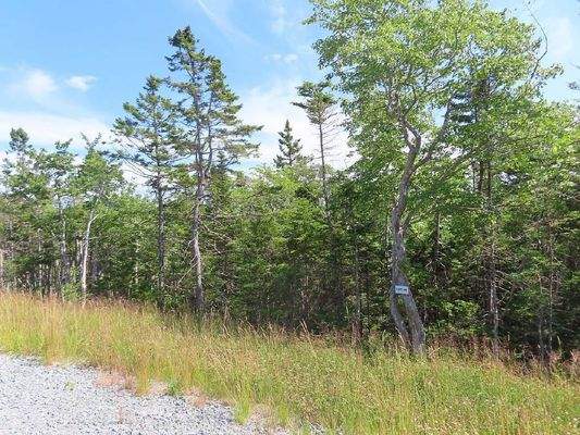 Cape Breton - Atlantik-Grundstück in herrlicher ge