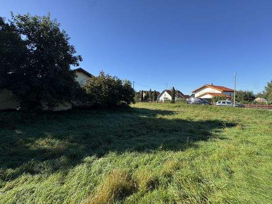 Impressionen des Grundstücks