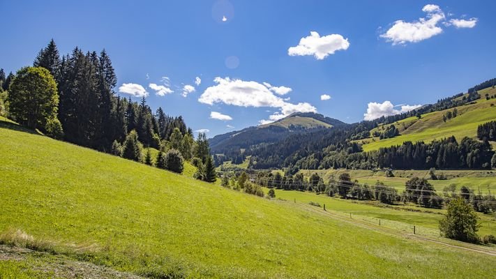 KITZIMMO-Luxusvilla in Toplage kaufen - Immobilien Jochberg Kitzbühel.