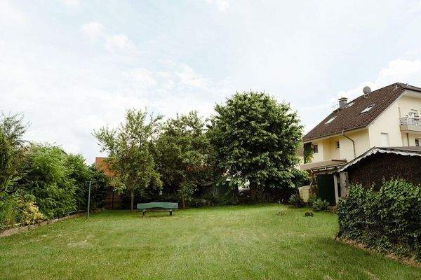 Garten / Baugrundstück