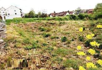 Baugrund + Baugenehmigung für Wohnanlage