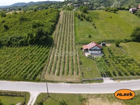 Jastrebarsko Bauernhöfe, Landwirtschaft, Jastrebarsko Forstwirtschaft