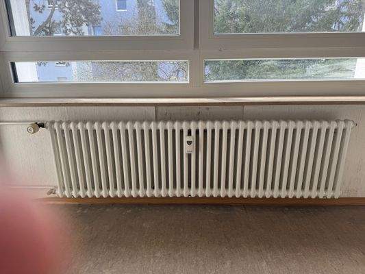 Beispiel Heizkörper