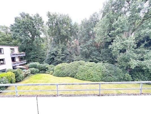 Blick vom Balkon in die Natur