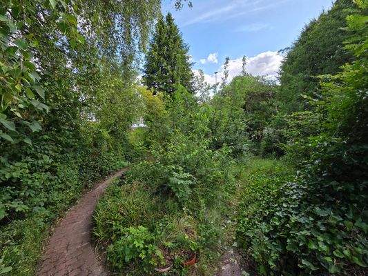 Der tolle Garten mit altem Obstbaumbestand