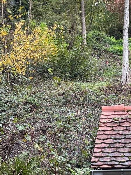 Leinsweiler Grundstücke, Leinsweiler Grundstück kaufen