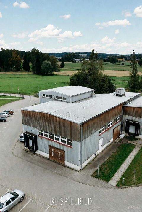 Niederndorf Halle, Niederndorf Hallenfläche