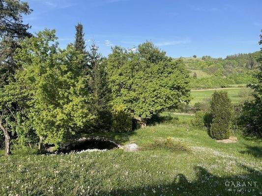 Garten mit Seerosen Teich