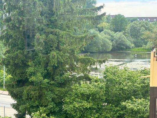 Seitlicher Blick vom Balkon