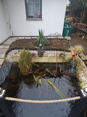 Teich hinterer Bereich