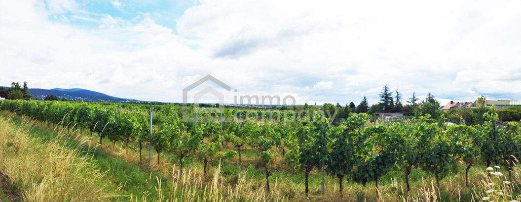 Panorama - Blick von der Strasse