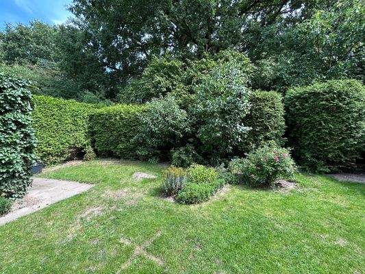 20250808_105241860_iOS