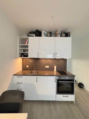 Küche mit Einbauschränken, Ofen, Herd & Spülbecken