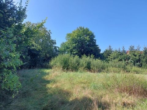 Pfofeld Grundstücke, Pfofeld Grundstück kaufen