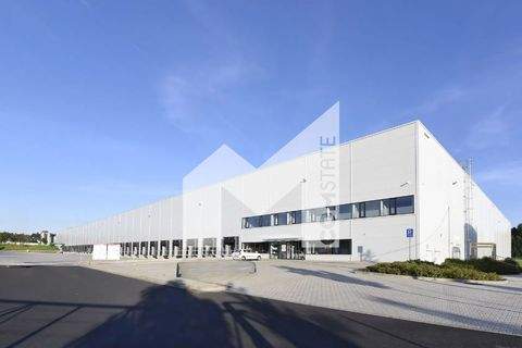 Mönchengladbach Halle, Mönchengladbach Hallenfläche