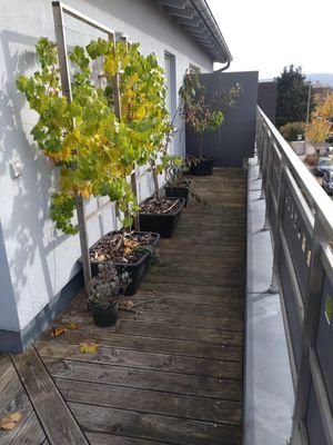 Sonnige Dachterrasse