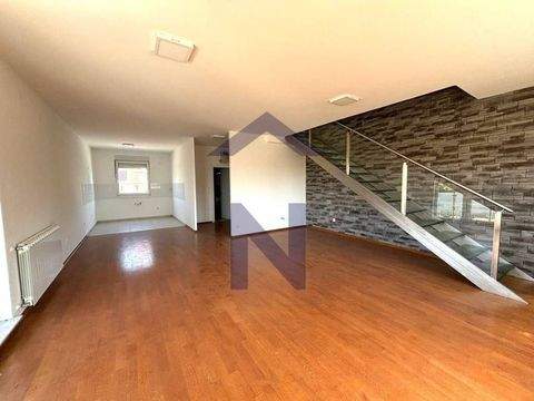 Nova Ves - Gupceva zvijezda Wohnungen, Nova Ves - Gupceva zvijezda Wohnung mieten