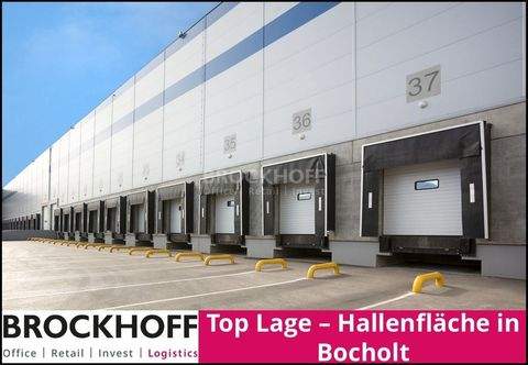 Bocholt Halle, Bocholt Hallenfläche