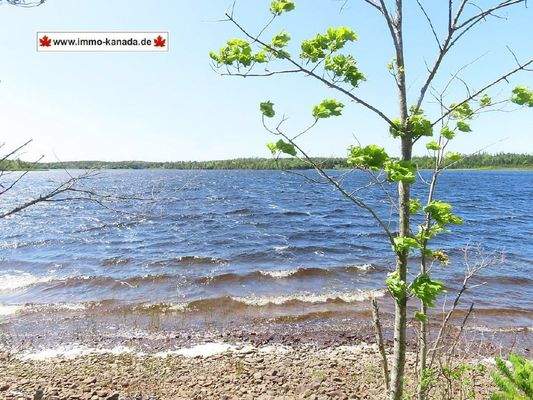 Cape Breton - Ideal für´s Kapital - Einzigartiges 