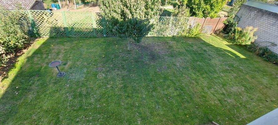 Blick auf das Grundstück