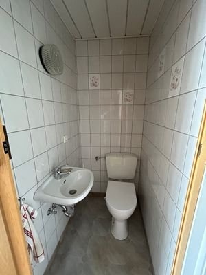 WC-DG.jpg