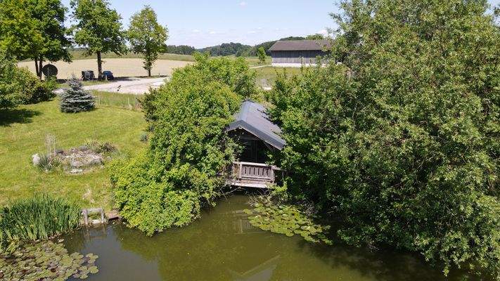 Foto Mai 25 während der Vegetation